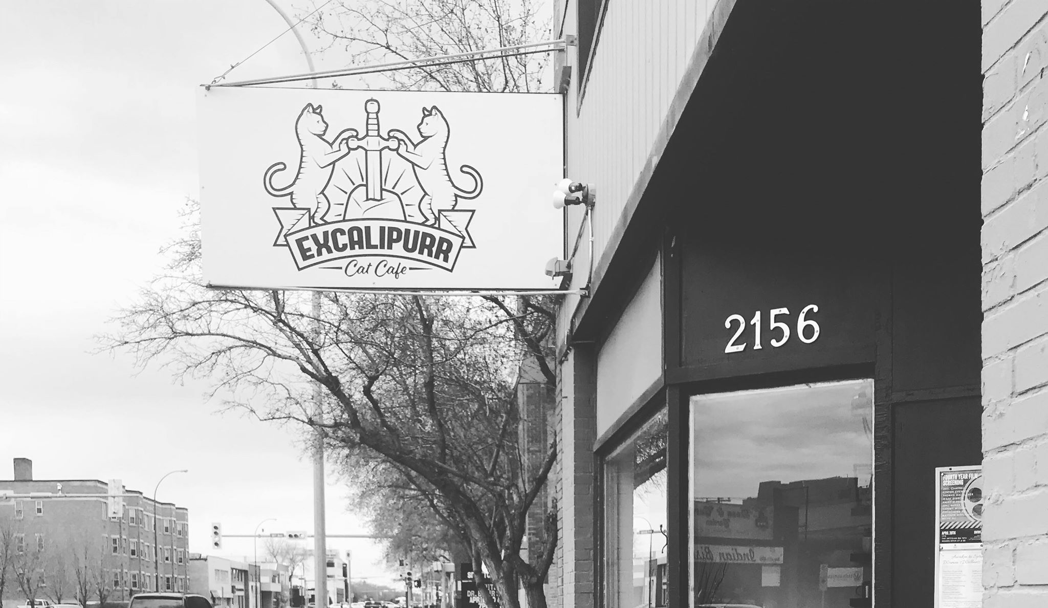 32150012_10156307556694254_4377695676155297792_n