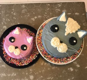 51752693_353949751864023_7280260378955612160_n