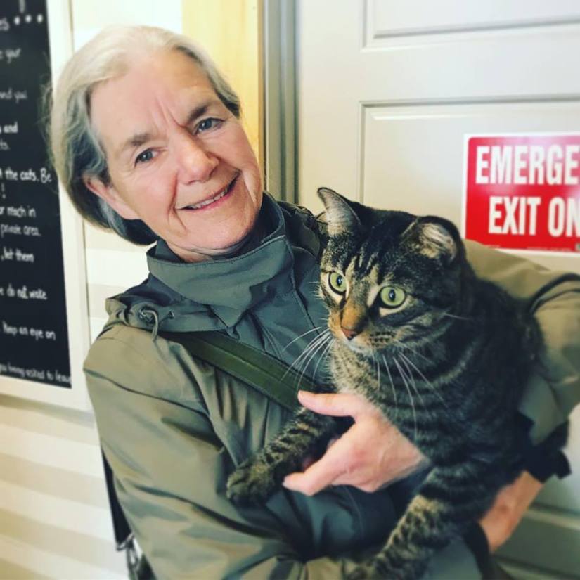 41938695_542781966158637_2999311753130541056_n