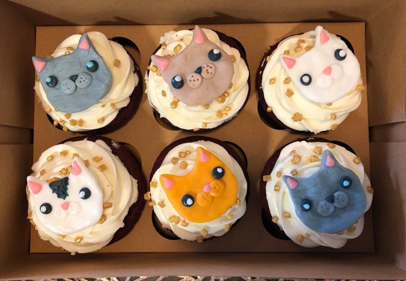 73472794_2392209721094094_1235676797027221504_n